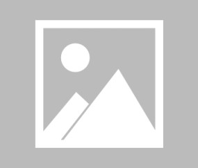 【美洲杯小组赛】加拿大vs波多黎各录像回放在线观看(2025年08月26日)